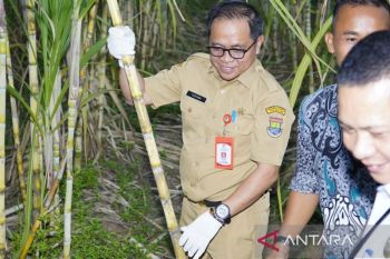 Tingkatkan agribisnis, Pemkab Tangerang dorong pemberdayaan petani muda