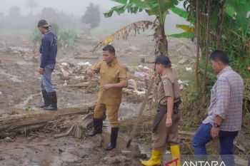 Bupati Solok percepat pemulihan lahan pertanian terdampak banjir