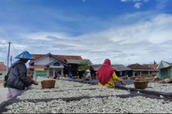 Pemkot Bandarlampung ajukan tiga kawasan jadi kampung nelayan merah putih