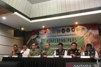 Penindakan karhutla tak berhenti pada pelaku lapangan