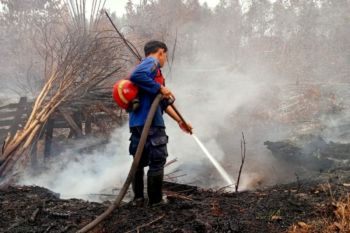 Karhutla, Kemenhut bekukan 13 izin dan cabut lima PBPH