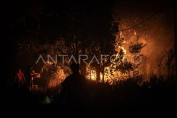 Indonesia's wildfires decline to 96 hectares as containment continues