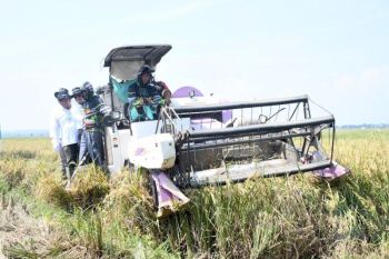 Mengawal lumbung padi: Membela nilai tambah beras Jawa Tengah