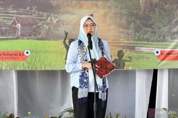 Pemkab Bogor terapkan Sapta Pesona di 23 desa wisata