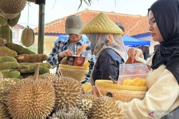 Pemkab Bogor kenalkan potensi Gunung Malang lewat branding digital