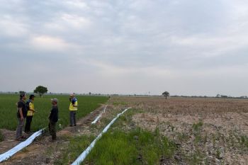 Ministry deploys three pumps to irrigate drought-hit Bekasi farmland