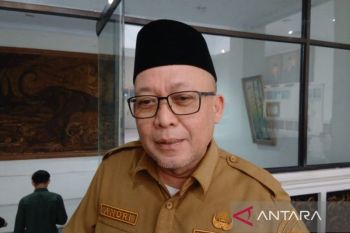 Dishut Jambi usul pembangunan sumur bor di lahan gambut atasi karhutla