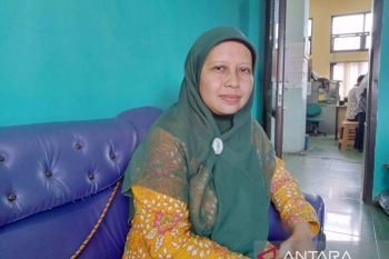 DKPP Belitung: Harga TBS kelapa sawit Rp3.120 per kilogram