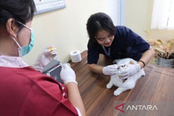 Warga Kota Tangerang diajak lindungi hewan peliharaan lewat vaksinasi rabies