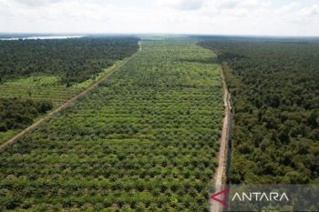 https://cdn.antaranews.com/cache/350x233/2026/09/30/1000096052.jpg