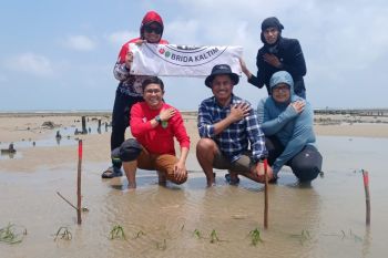 Menghidupkan lamun, menabur harapan ekonomi biru