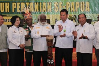 Pemerintah pusat dorong pengembangan sektor pertanian di Papua Selatan