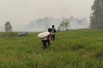 Tim Dishut Kalteng tempuh tiga jam gunakan perahu tangani kebakaran Tahura Isen Mulang