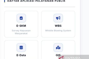 DPMPTSP Aceh pastikan layanan publik berjalan meski aplikasi diretas
