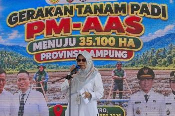 Kementan sebut September maksimalkan tanam padi jaga stok beras