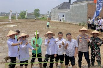 Dongkrak produktivitas panen, Metro mulai terapkan sistem tanam PMAAS