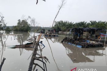 Satpolairud hentikan tujuh tambang timah tanpa izin di Sungailiat