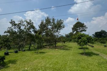 KPK tinjau lokasi glamping di Subang diduga milik polisi