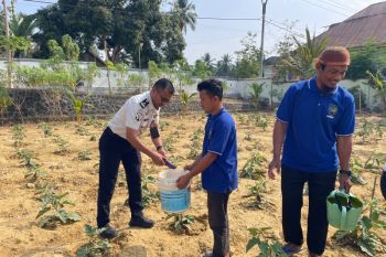 Rutan Raha panen terong dukung program ketahanan pangan