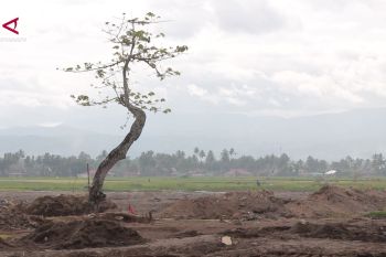 Pemerintah data kembali lahan rusak berat terdampak bencana di Sumbar