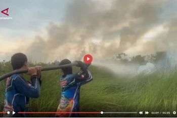 Menhut yakin karhutla disebabkan oleh pembakaran yang disengaja - VIDEO