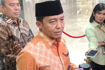 Indonesia seeks economic benefits from peatlands without harm