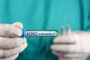 Super Flu, antara kewaspadaan dan kepanikan