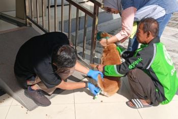 Cegah Rabies, Karantina Sumbar Gelar Vaksinasi Hewan Gratis