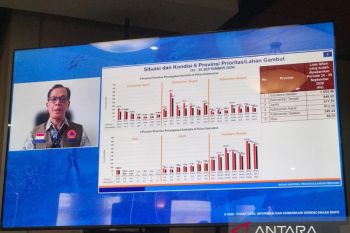 Indonesia extinguishes 3,799 ha of wildfires in six priority provinces