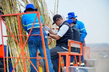 Pemkab Lamongan optimalkan mekanisasi untuk tingkatkan produksi tebu