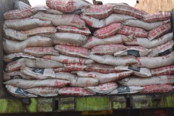 Kolaka salurkan 37,5 ton pupuk gratis guna tingkatkan produksi cengkih