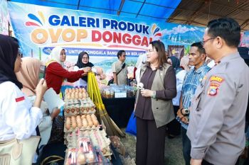 Kabupaten Donggala perkuat ekonomi desa lewat program OVOP