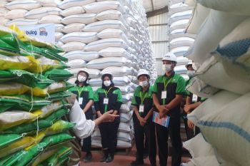 Bulog Tulungagung siap intervensi pasar beras premium