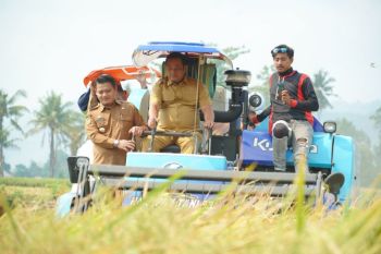 Pemkab Luwu bersama Vale dan kampus bahas pengembangan pertanian