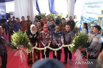 PLN Babel bentuk Unit Pelaksana Pengatur Distribusi tenaga listrik