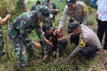 Kodim 0409/Rejang Lebong Bengkulu tanam 1.000 pohon di DAS Musi