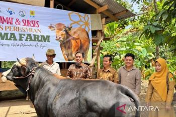 Program TJSL PLN UID Sulselrabar dorong kemandirian ekonomi di Sinjai