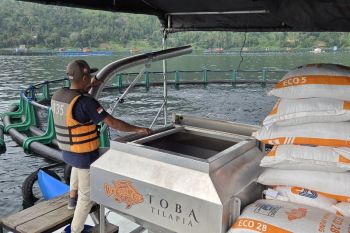 Bappenas mengembangkan "blue food" guna tingkatkan konsumsi ikan