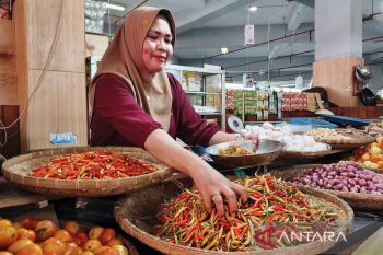 PIHPS catat harga cabai rawit merah tembus Rp96.300 per kilogram
