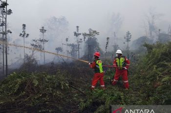 PetroChina International Jabung Ltd ikut pemadaman karhutla di HLG Londerang