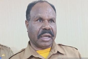 Pemprov Papua Pegunungan pastikan 24 hektar lahan ditanami hortikultura