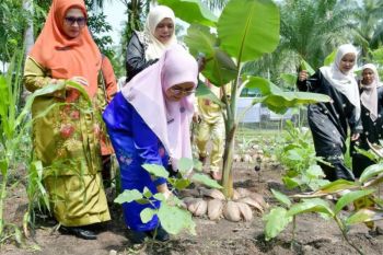 TP PKK Agam dorong kelompok Dasawisma kreatif manfaatkan lahan sekitar rumah