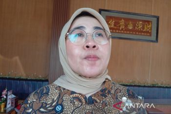 Anggota DPR: Penguatan UMKM capaian positif Pemerintahan Prabowo