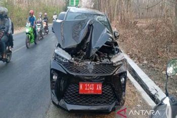 Mobil Siaga Desa Sambong ditimpa pohon tumbang