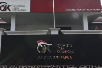 Kredit investasi Papua Selatan capai Rp8,72 triliun hingga Agustus