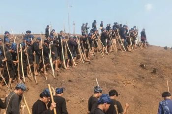 Petani Suku Badui laksanakan "ngaseuk" padi huma serentak