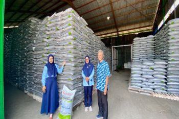 Pemkab Kulon Progo imbau petani perbarui data e-RDKK  tepat waktu