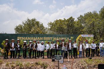 Pertamina menggelar panen raya nangka, perkuat ekonomi desa di Gunungkidul