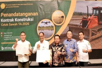 Program cetak sawah di Kapuas terealisasi 4.491 hektare