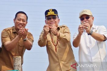 Tambak udang vaname Sukamara hasilkan miliaran rupiah, pacu perekonomian Kalimantan Tengah